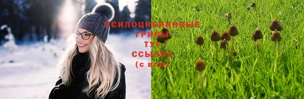 спайс Алапаевск
