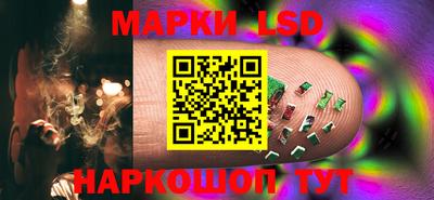 стаф Берёзовский