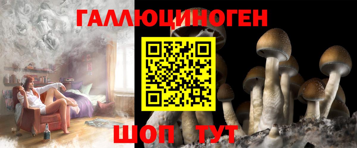 Галлюциногенные грибы Cubensis  продажа наркотиков  Вход с VPN  Искитим  Галлюциногенные грибы Psilocybine cubensis 
